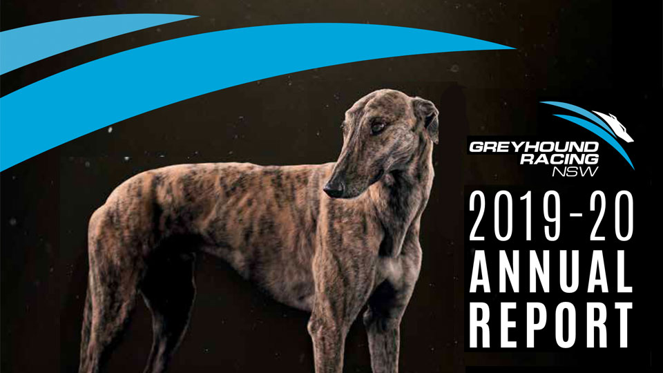 GRNSW annual report 2020 960x540